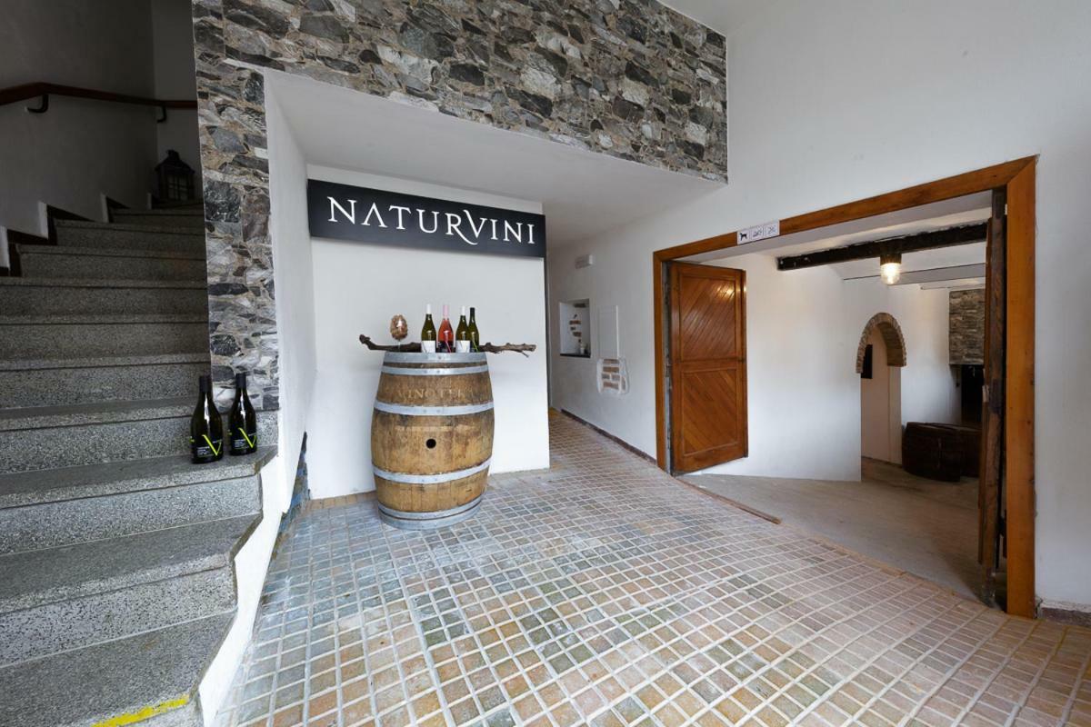 Penzion A Vinarstvi Naturvini Miroslav  ภายนอก รูปภาพ